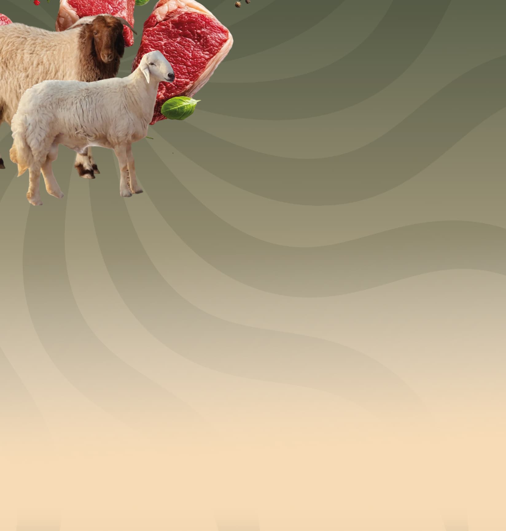 الذبائــــــح